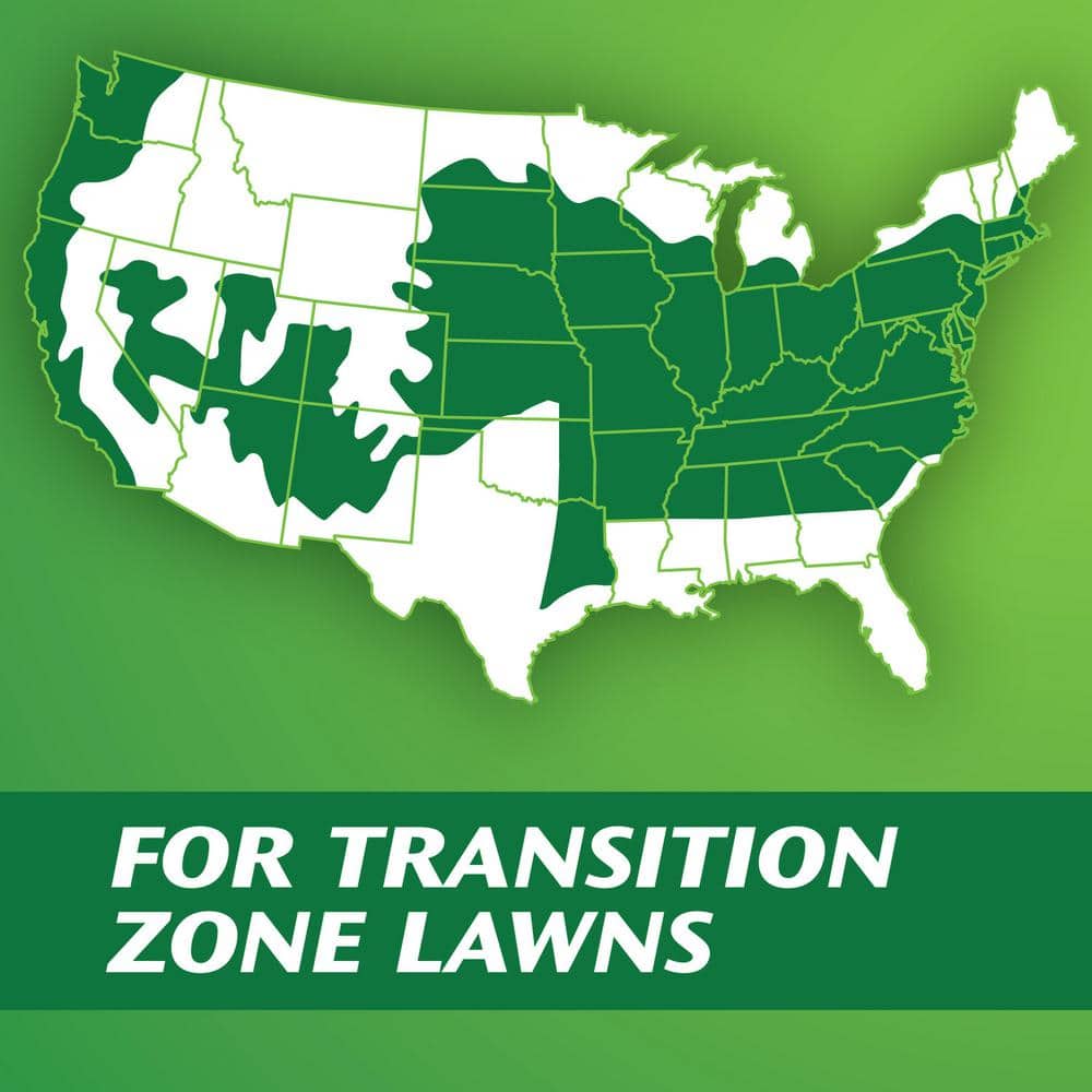 PatchMaster 4.75 lbs. Lawn Repair Mix Tall Fescue Mix, Combination Grass Seed, Fertilizer, and Mulch - Hercitys