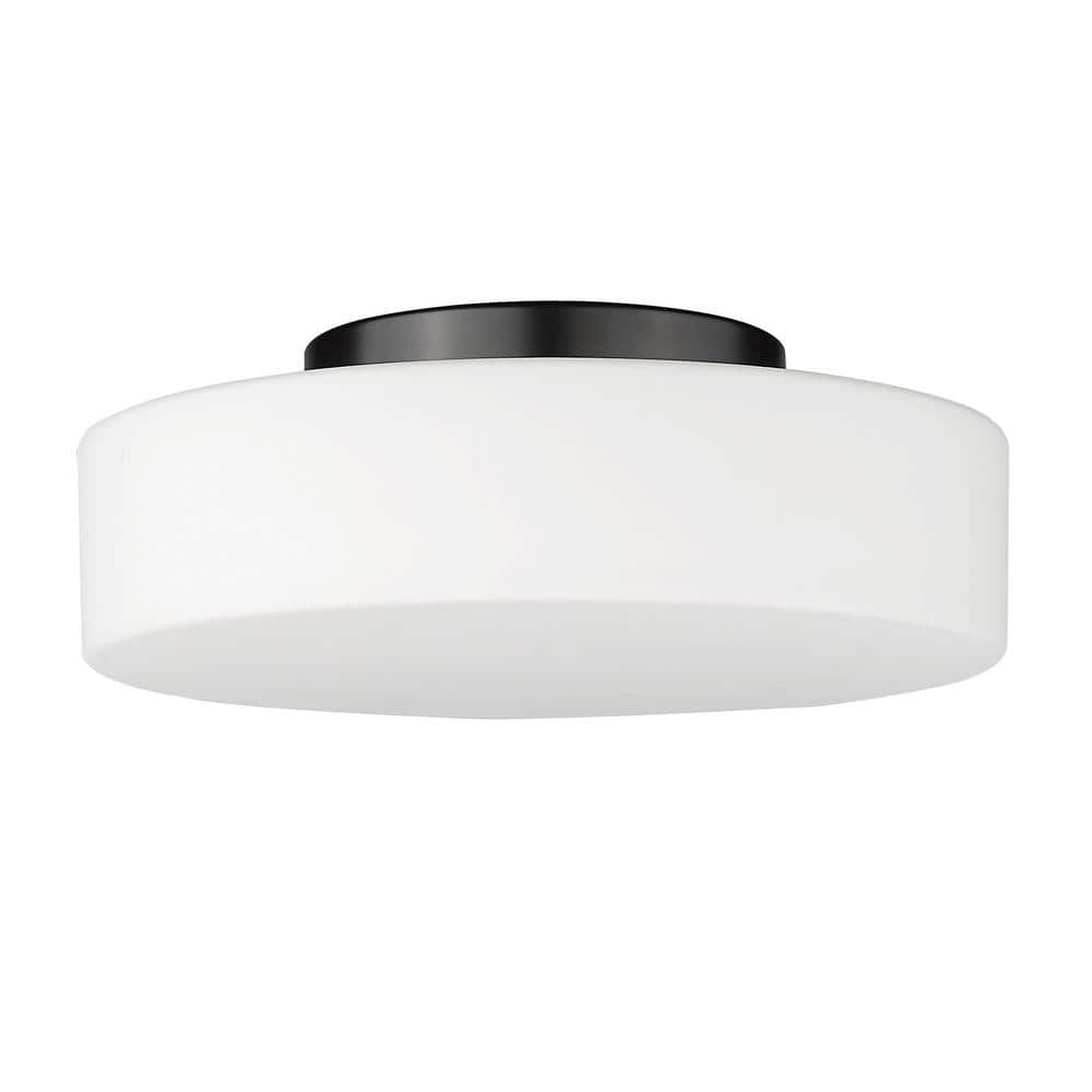 Toli 12 in. Matte Black LED Flush Mount - Hercitys
