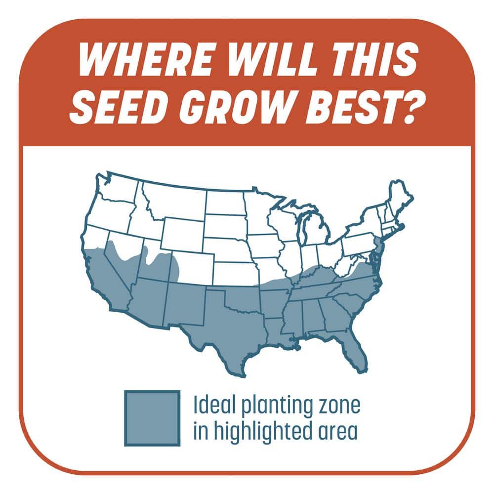 Smart Patch Bermudagrass 5 lb. 100 sq. ft. Grass Seed Bare Spot Repair with Mulch and Fertilizer - Hercitys