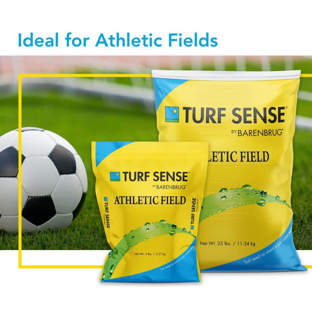 Turf Sense 5 lbs. Athletic Field Mix Grass Seed - Hercitys
