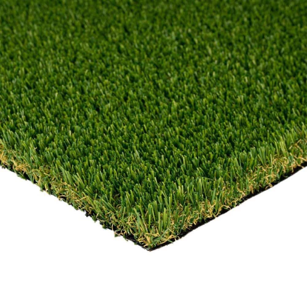 Premium Pet Turf 15 ft. W x Cut to Length Green Artificial Grass Turf - Hercitys