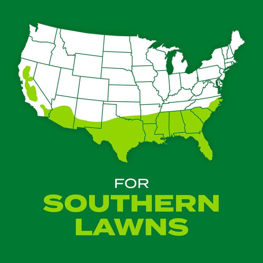 Turf Builder Grass Seed Annual Program Bermuda Mix for Small Lawns - Hercitys