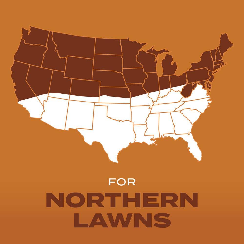 Turf Builder 5.6 lbs. Grass Seed High Traffic Mix with Fertilizer and Soil Improver Self-Repairs - Hercitys