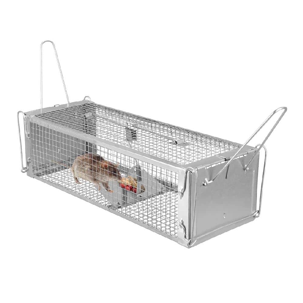 Dual Door Humane Rat Cage Trap with Zinc-Plated Mesh, Auto-Lock Pedal, Non-Toxic Bait and Rust-Proof Design, Silver - Hercitys
