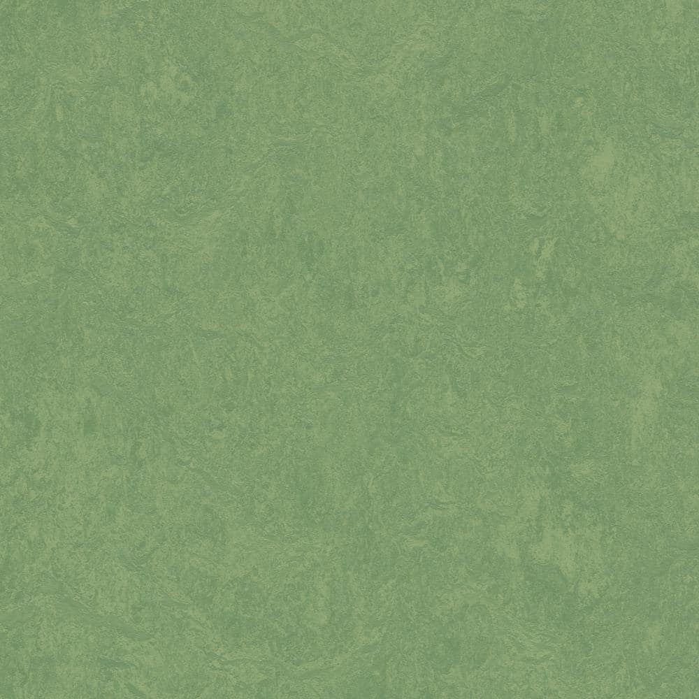 Cinch Loc Seal Leaf 9.8 mm T x 11.81 in. W x 35.43 in. L Laminate Flooring (20.34 sq. ft./case) - Hercitys