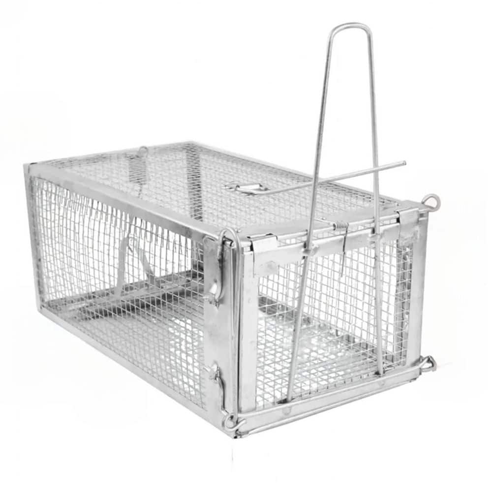 Humane Mouse Trap Cage-Live Animal Rodent Trap for Rats, Mice, Squirrels Heavy Duty Galvanized Steel, Auto-Lock Door - Hercitys