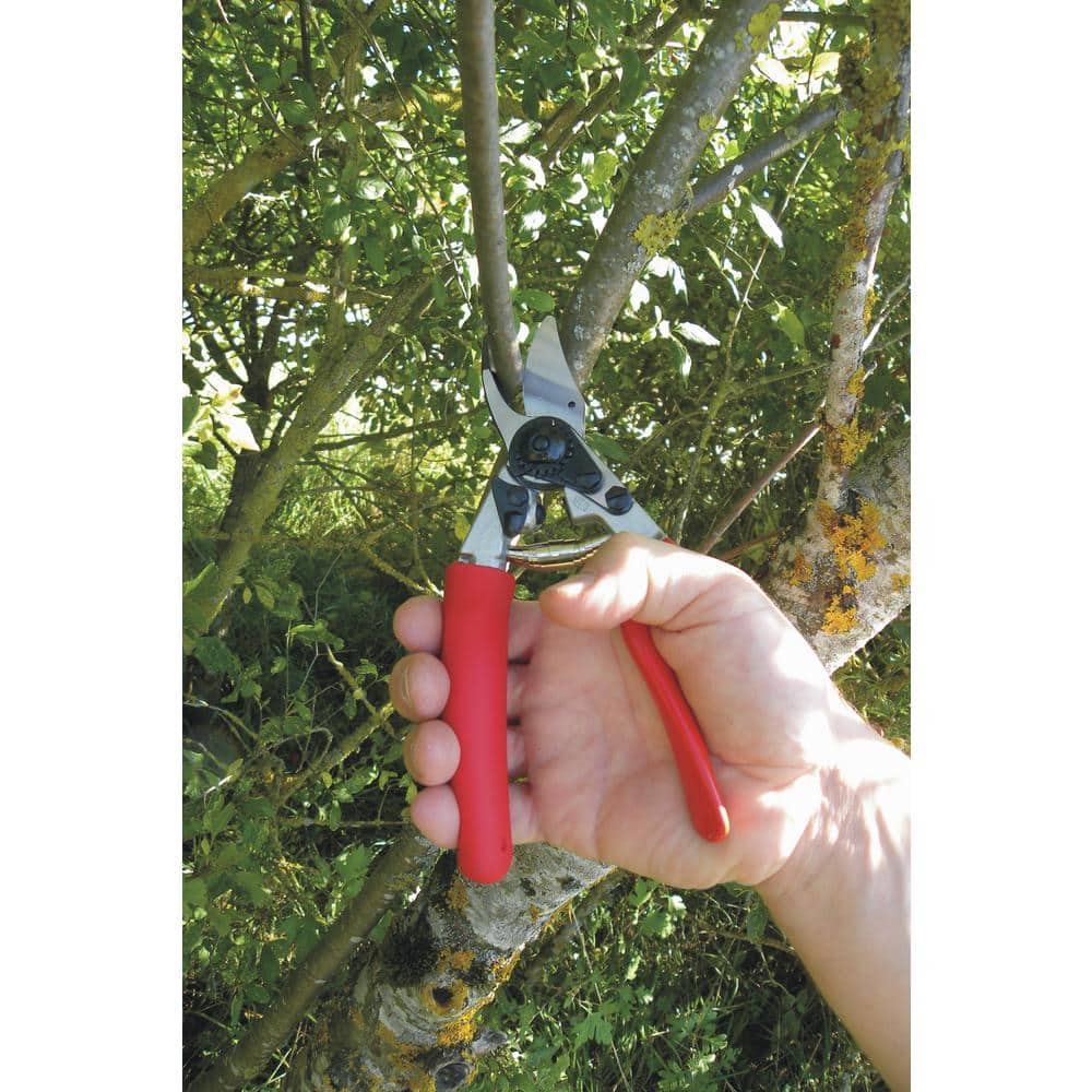F12 7.9 in. Medium Right Hand Pruner with 1 in. Cut Capacity, Rotating Handle, High Performance, Ergonomic, Compact - Hercitys