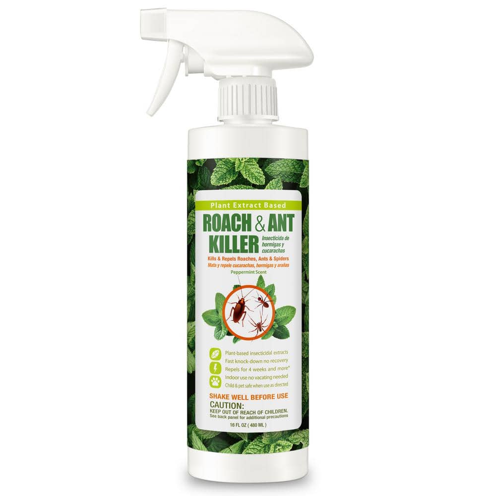 Roach Insect Killer/Repellent by EcoRaider 16 oz., Fast Kills, 4-Week Deterrence, Plant-Based, Child/Pet-Safe - Hercitys