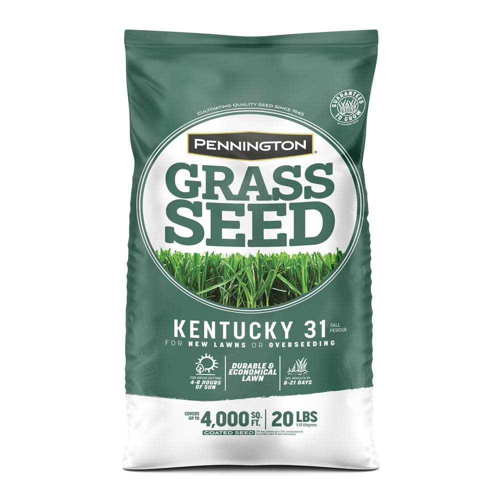 Kentucky 31 Tall Fescue 20 lb. 4,000 sq. ft. Grass Seed - Hercitys