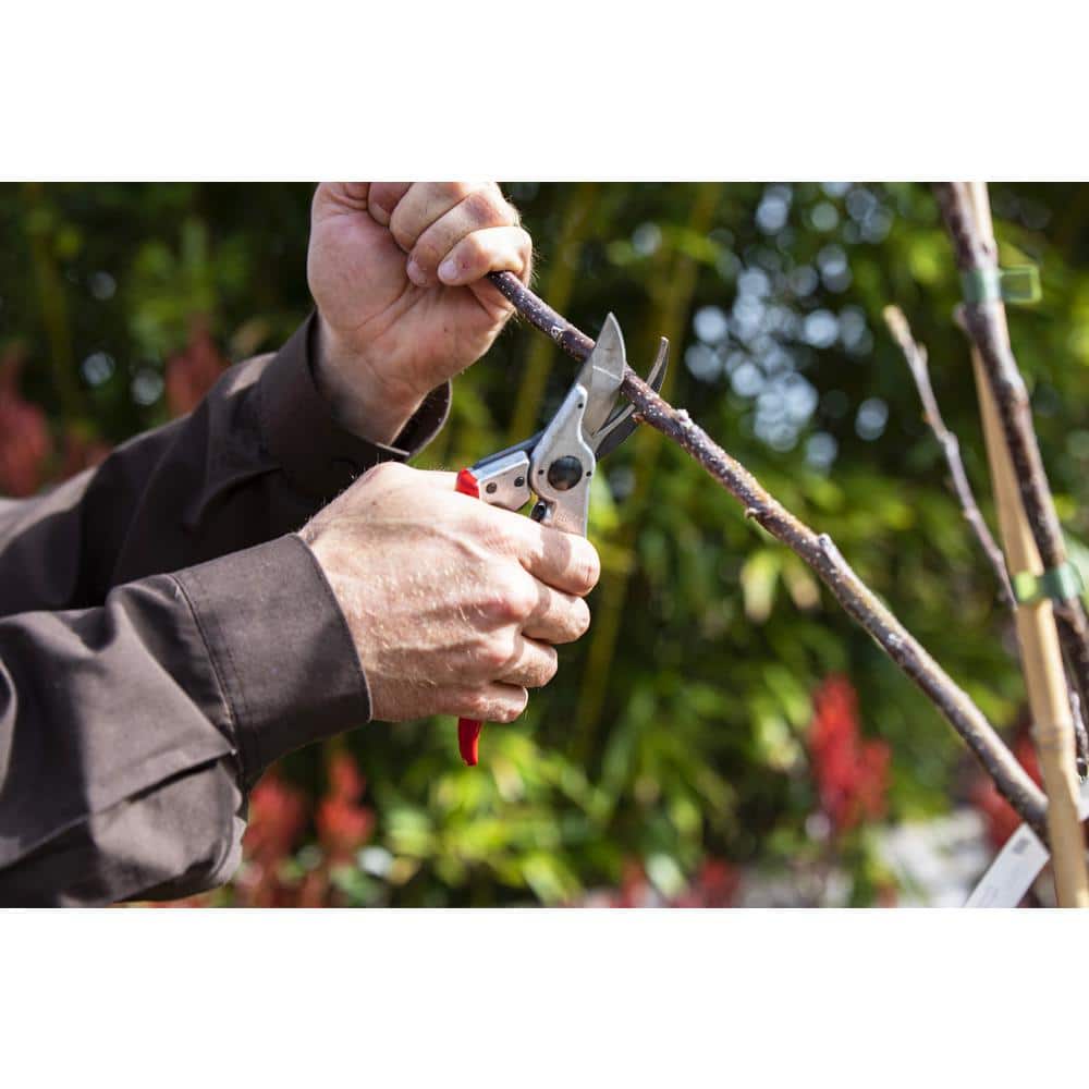 F11 8.3 in. Large Ambidextrous Pruner with 1 in. Cut Capacity, All Carbon Steel Anvil, High Performance - Hercitys