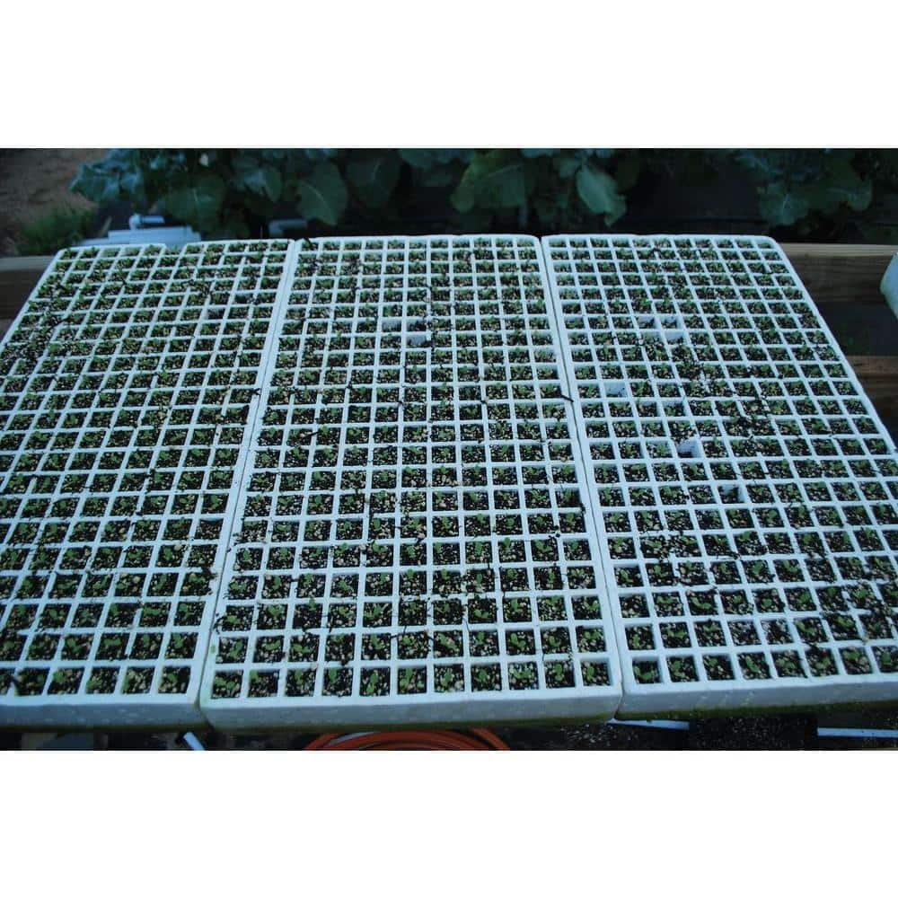 Hydroponic Seeding Tray (2-Pack) - Hercitys