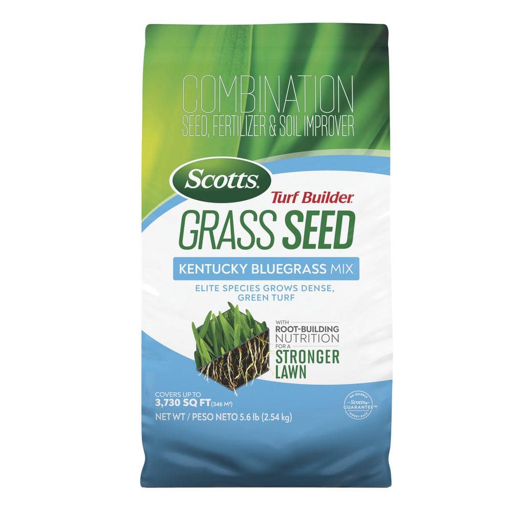 Turf Builder 5.6 lbs. Grass Seed Kentucky Bluegrass Mix with Fertilizer and Soil Improver, Grows Dense, Green Turf - Hercitys
