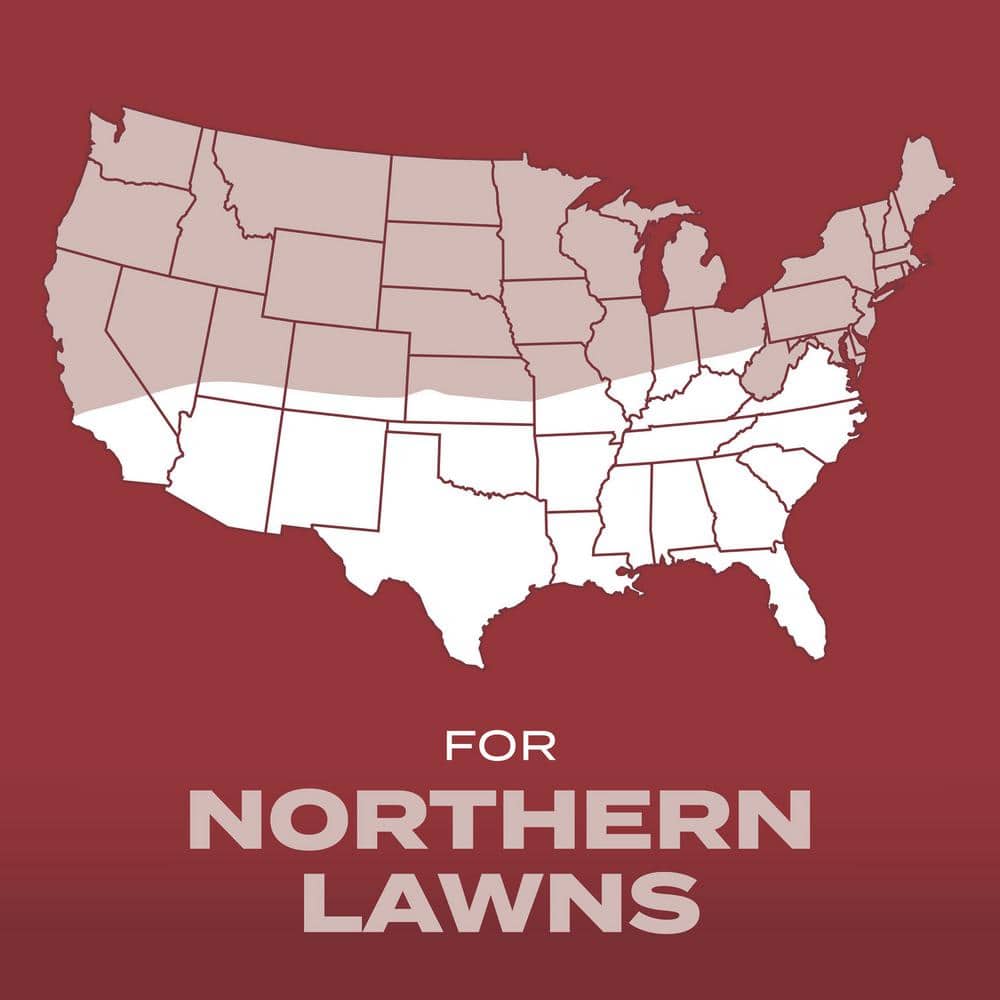 Turf Builder 2.4 lbs. Grass Seed Sunny Mix with Fertilizer and Soil Improver, Thrives in Direct Sun - Hercitys