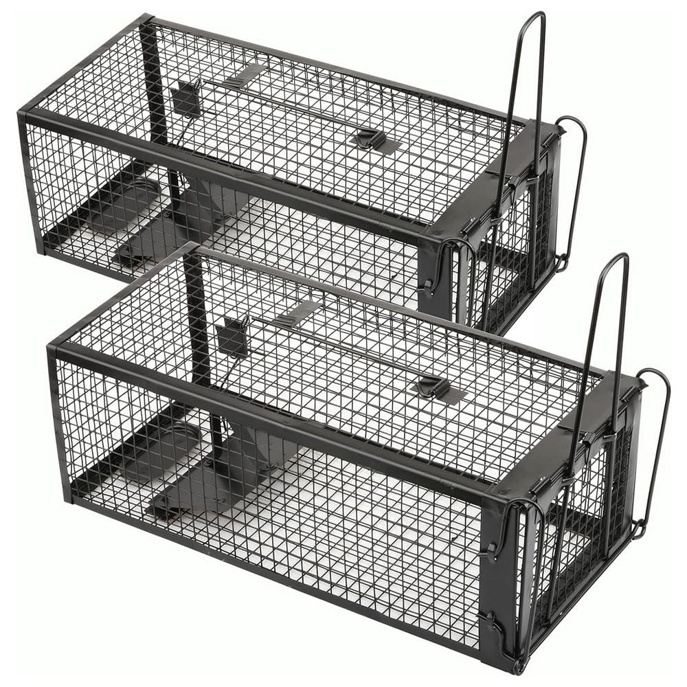 Black Humane Live Rat Trap Cage Mouse Vole Chipmunk Trap Cage Control Bait Catch for Small Animals (2-Pack) - Hercitys