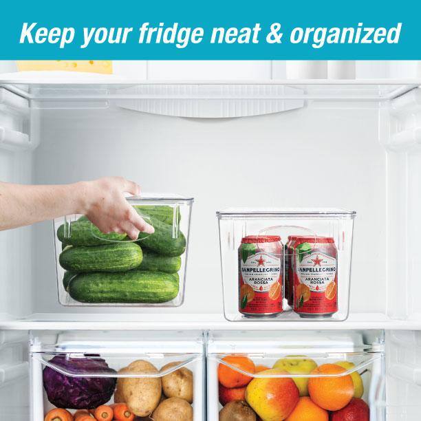 Plastic Food Storage Container with Lids (2-Pack) - Hercitys