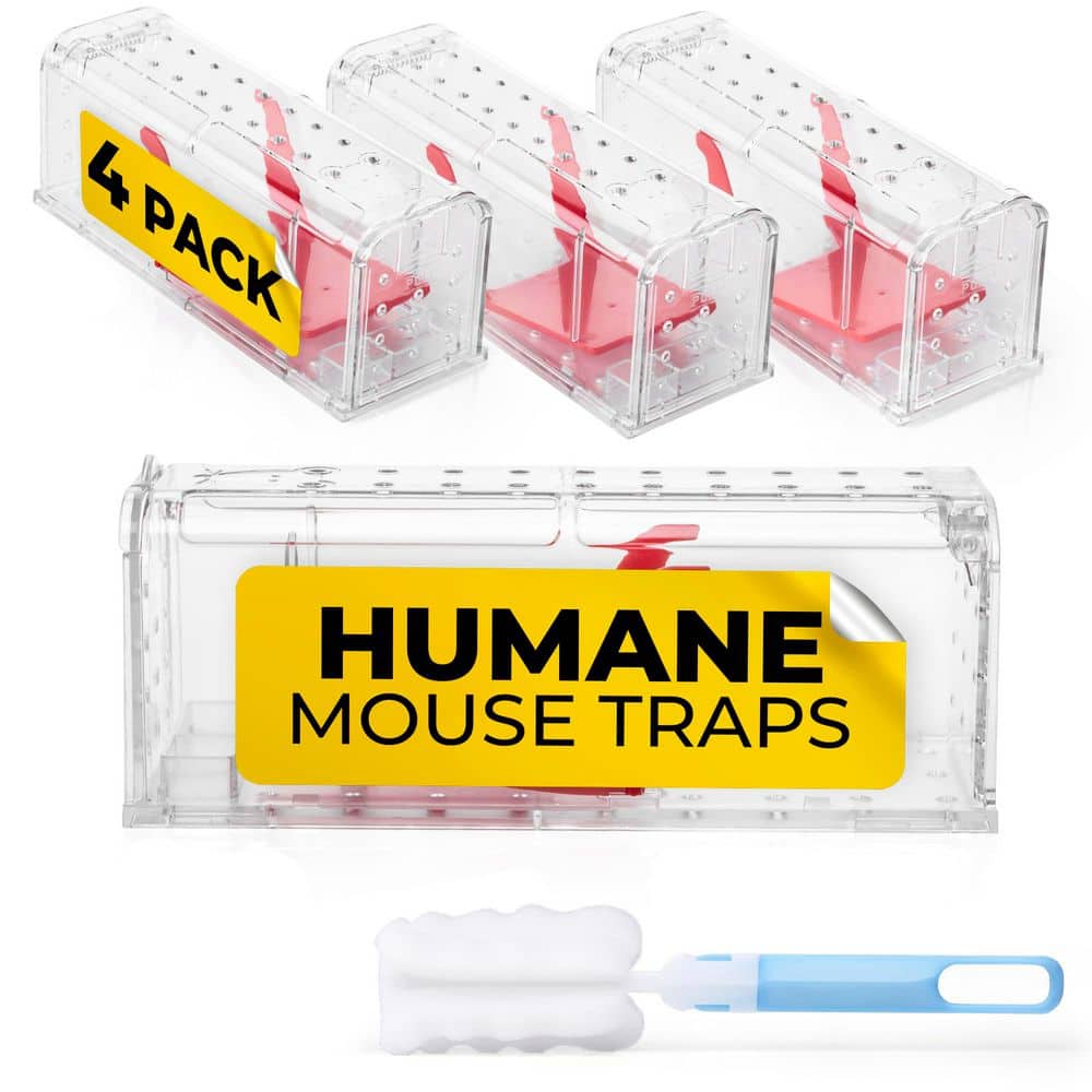 Reusable Humane Mouse Trap with Cleaning Brush (4-Pack) - Hercitys