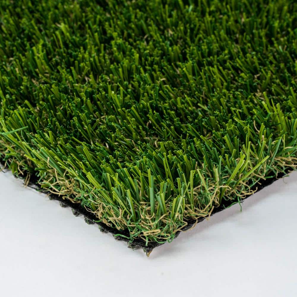 Santa Monica Fescue 15 ft. W x Cut to Length Green Artificial Grass Turf - Hercitys