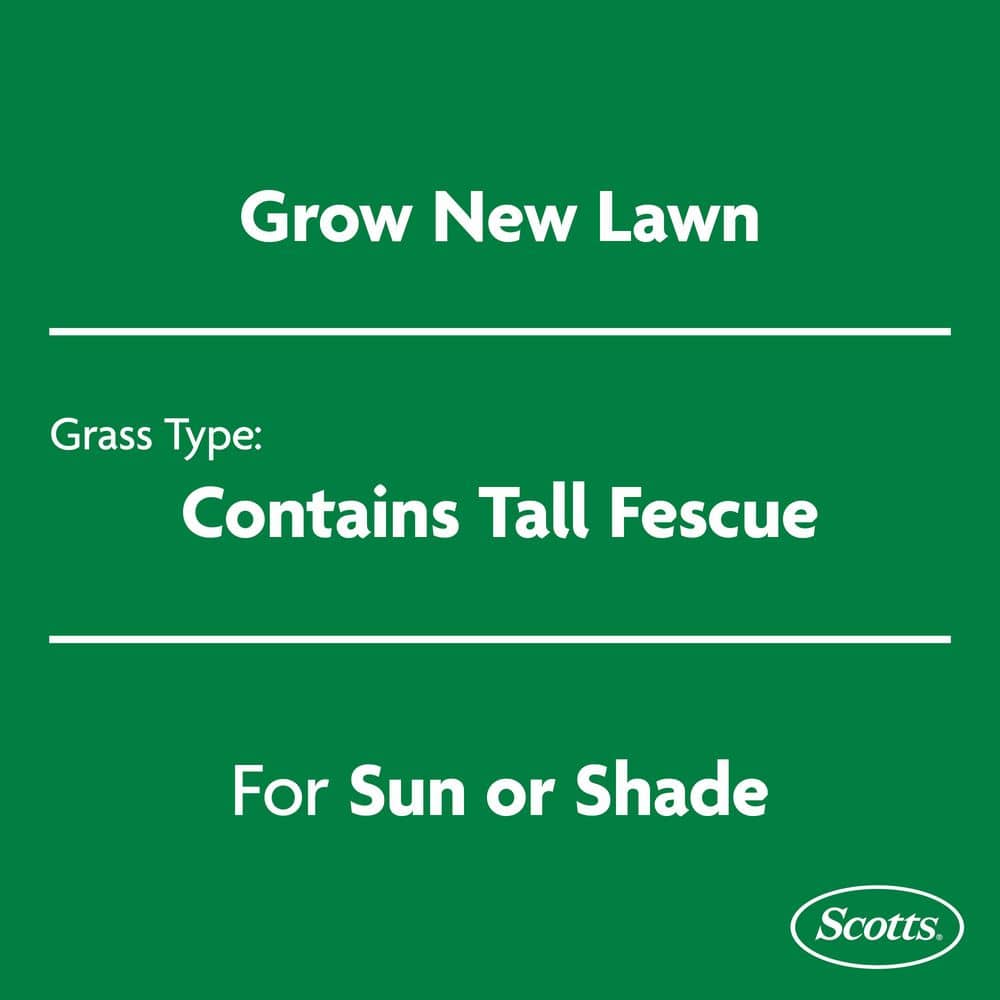 Turf Builder 16 lbs. Grass Seed Tall Fescue Mix with Fertilizer and Soil Improver, Durable to Resist Harsh Conditions - Hercitys