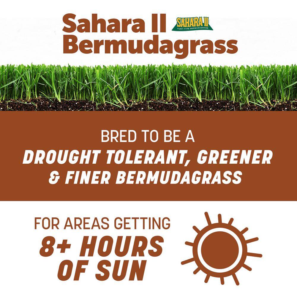 Sahara II Bermudagrass 25 lbs. 25,000 sq. ft. Full Sun Grass Seed - Hercitys