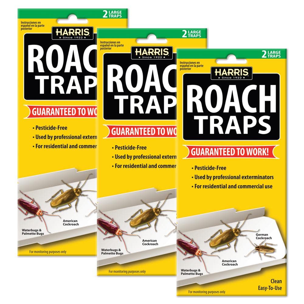 Roach Glue Traps (6-Pack) - Hercitys
