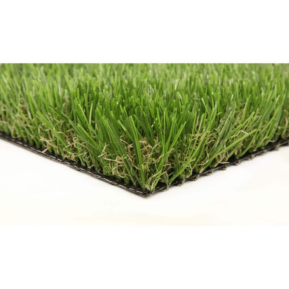 Classic Premium 65 Spring 7.5 ft. W x Cut to Length Green Artificial Grass Turf - Hercitys