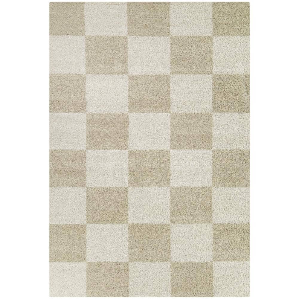 Reinhart Beige 5 ft. x 7 ft. Checkered Area Rug - Hercitys