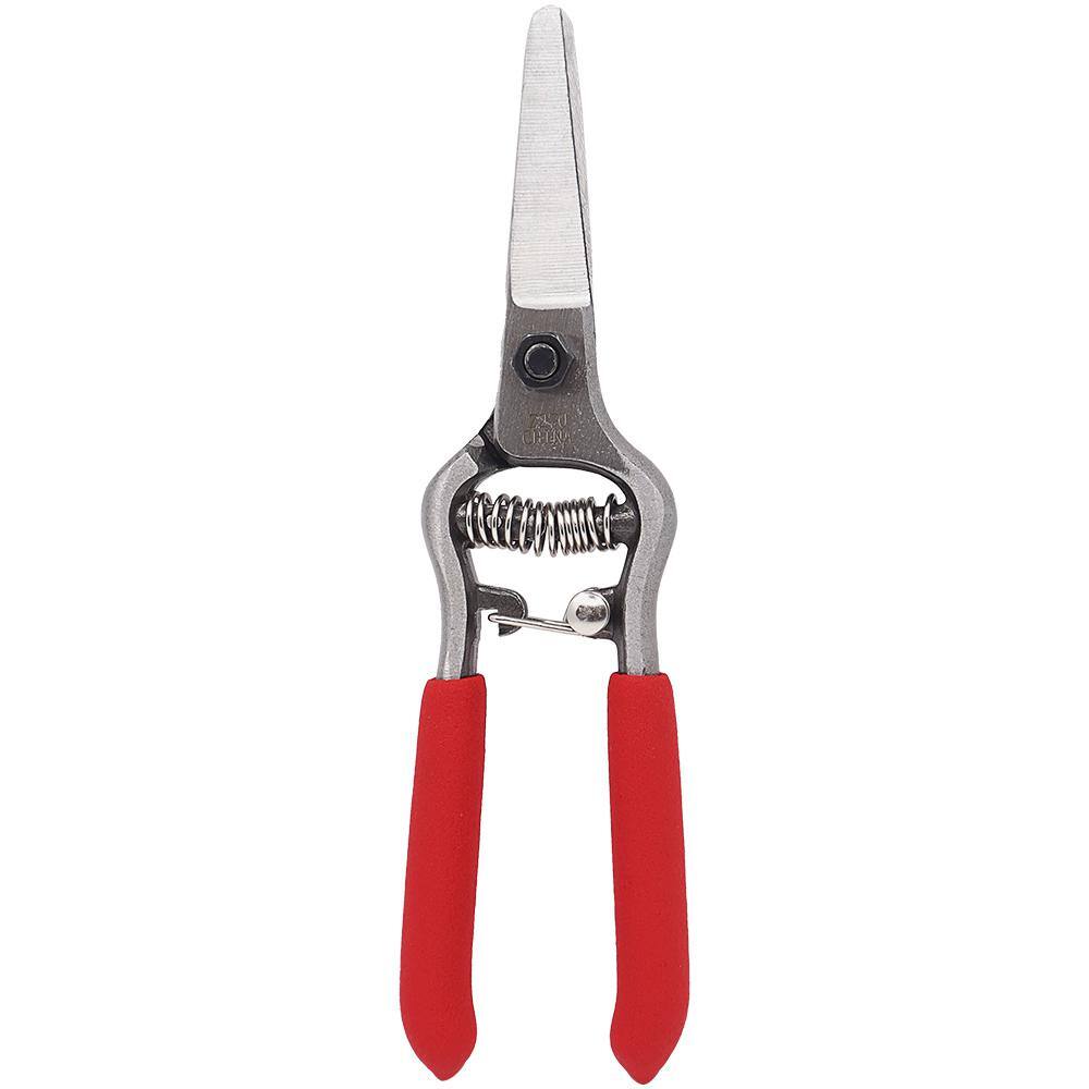 Needlenose Shear, Bonsai and Orchids, Mini 6 in. Forged Straight Blade (Box of 3) - Hercitys