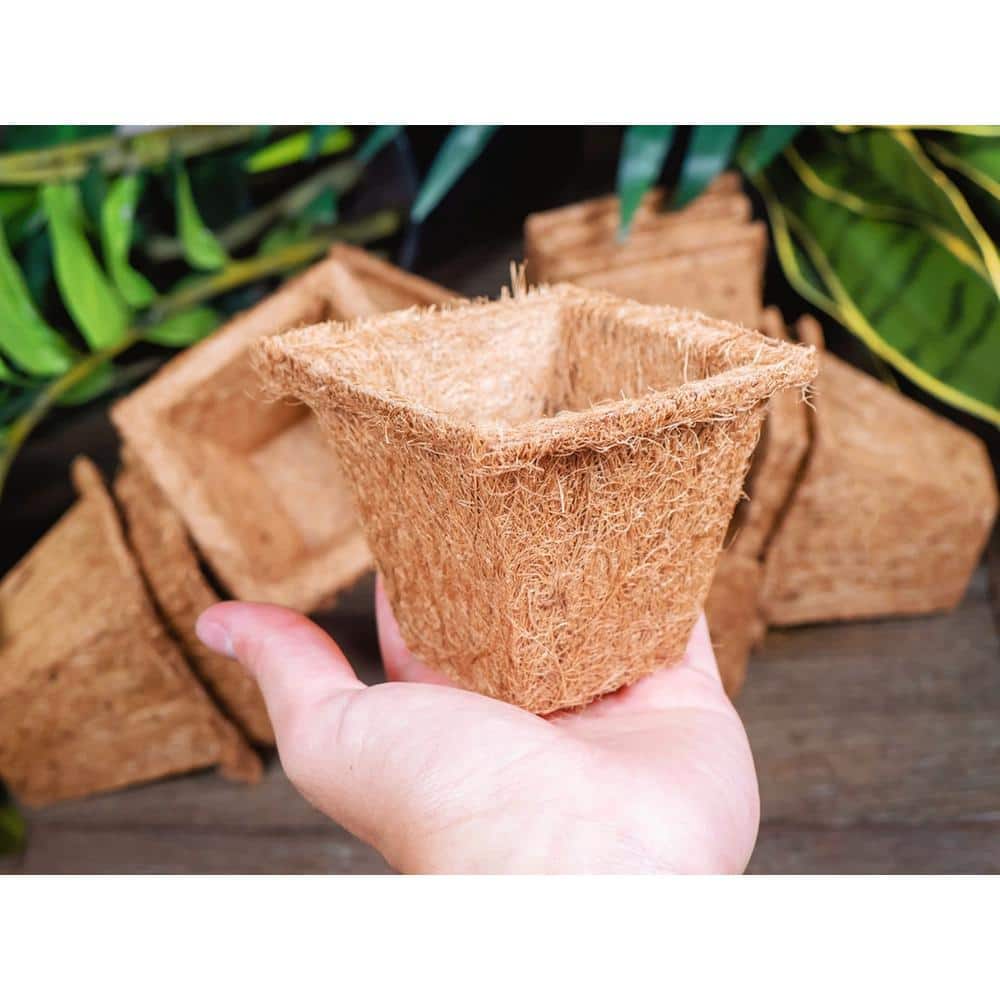 Coco Seed Cups 4 in. Brown Coir Grow Pots (20-Pack) - Hercitys