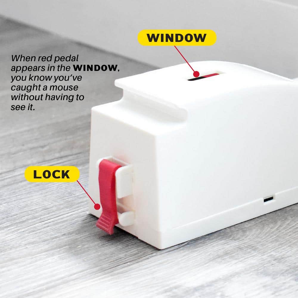 Mouse Housing Trap Kit (Comes with 6 Plastic Reusable Simple Set Traps) (6-Pack per Case) - Hercitys