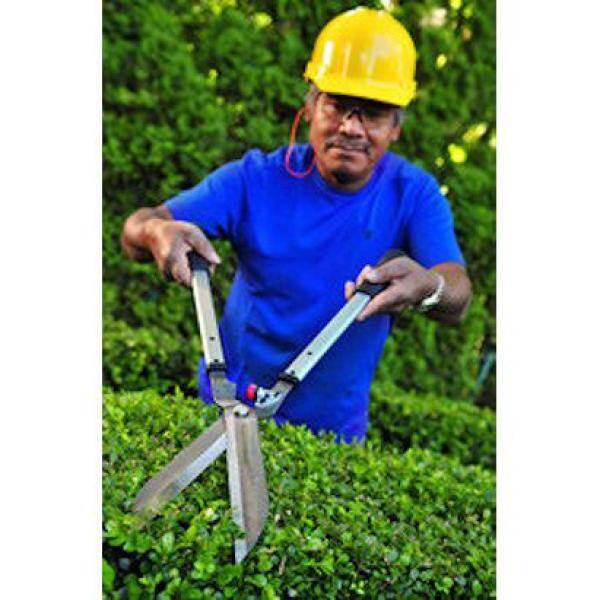Professional 11-1/4 in. Heavy-Duty Hedge Shears - Hercitys