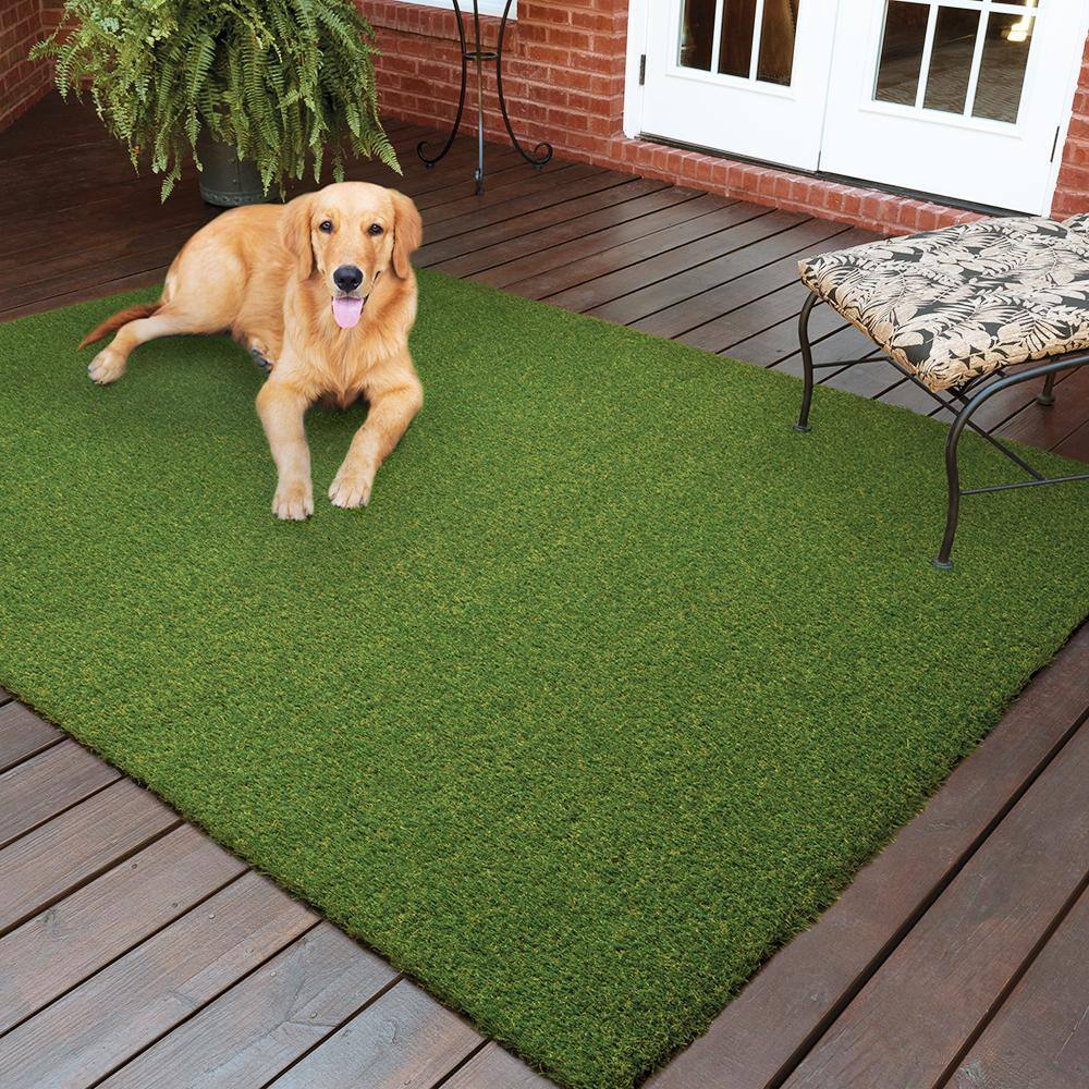 Pet Turf 3.75 ft. x 9 ft. Green Artificial Grass Runner Rug - Hercitys