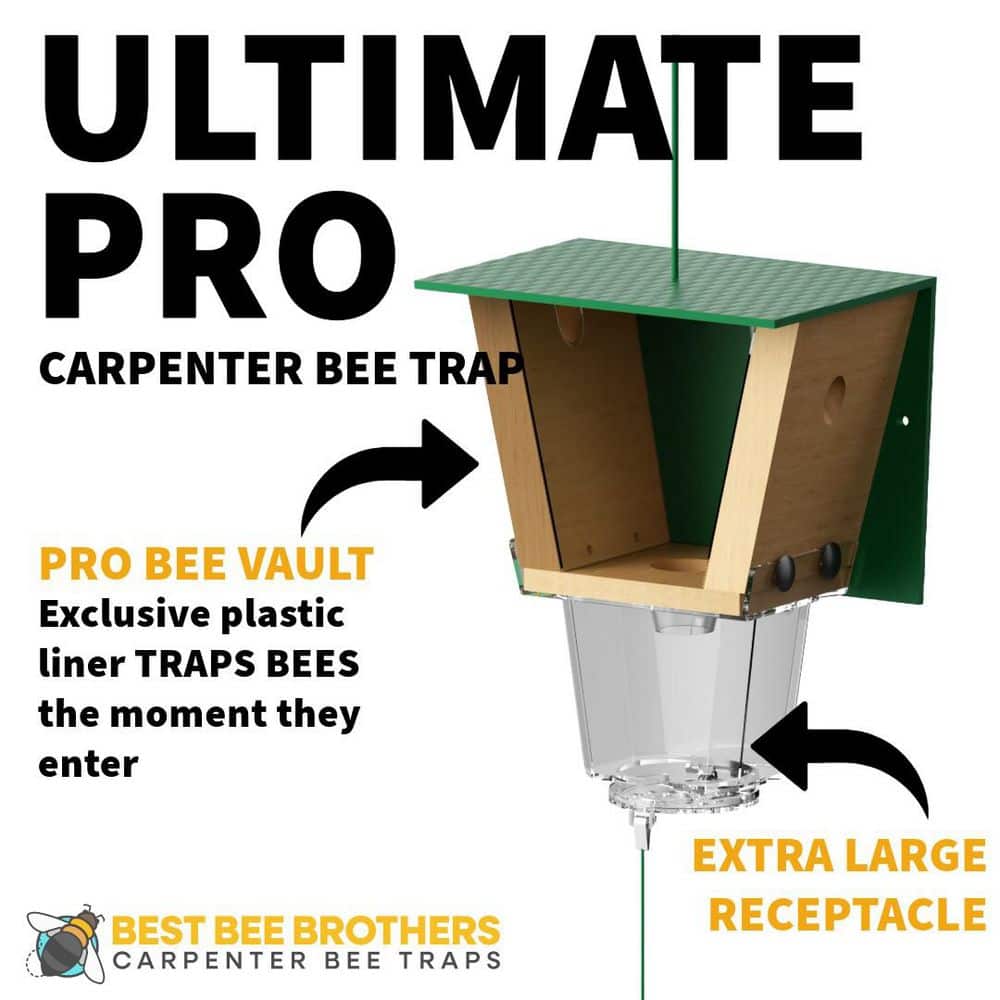 Ultimate Pro Carpenter Bee Trap with Bee Vault and Extra Large External Receptacle (2-Pack) - Hercitys