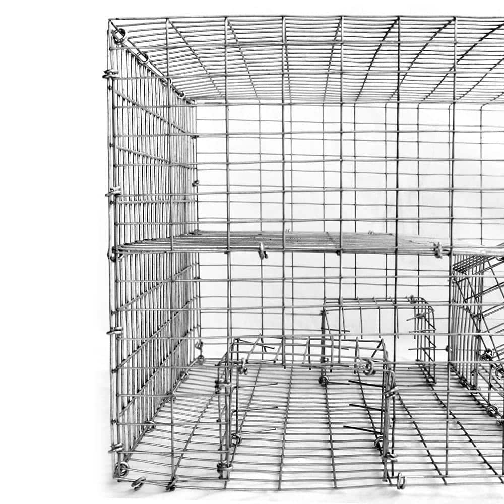 Sparrow Trap with Two Chambers (8 in. x 12 in. x 16 in.) - Hercitys