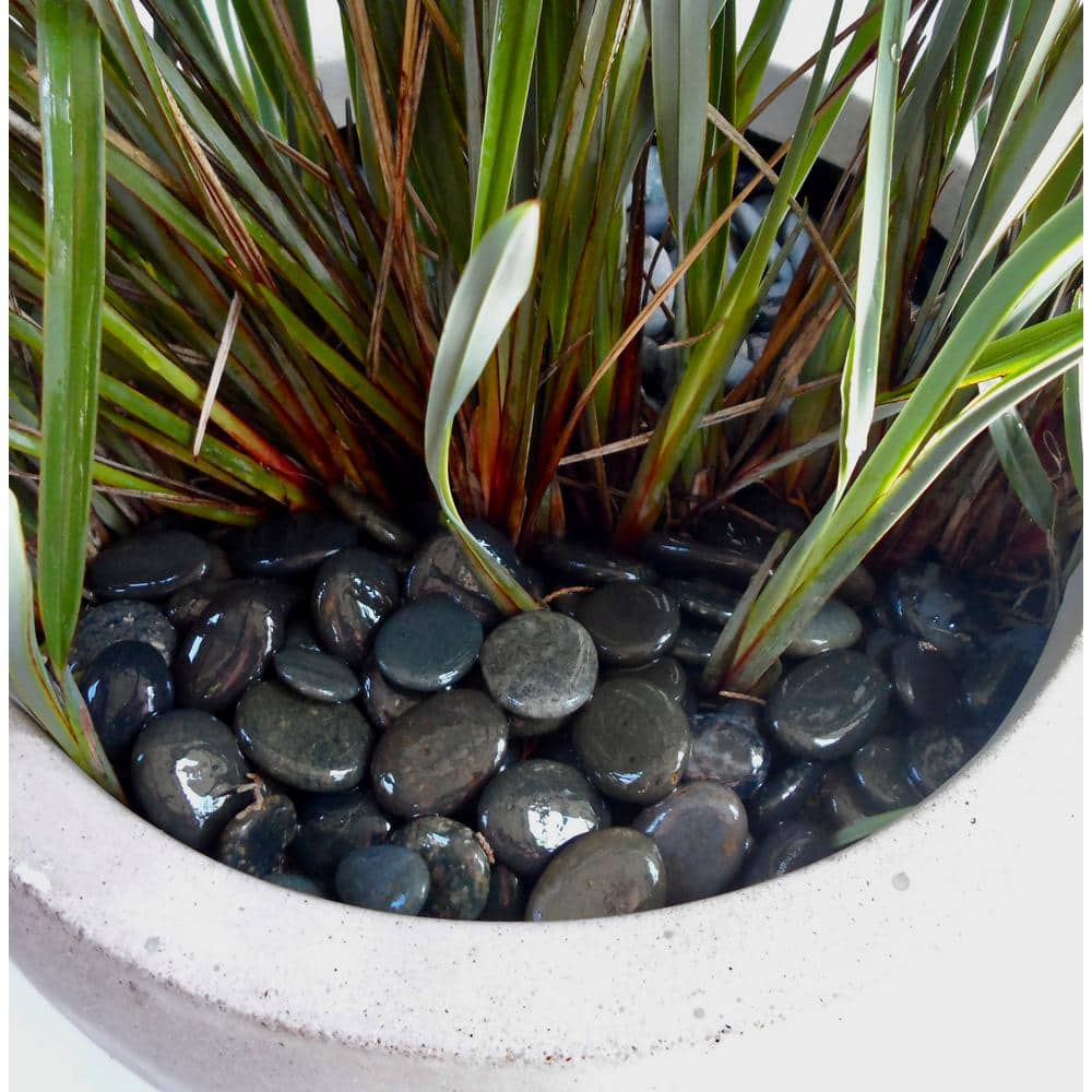 Rock Ranch 0.25 cu. ft. 20 lbs. 5/8 in. to 1 in. Black Mexican Beach Buttons Landscaping Pebble - Hercitys