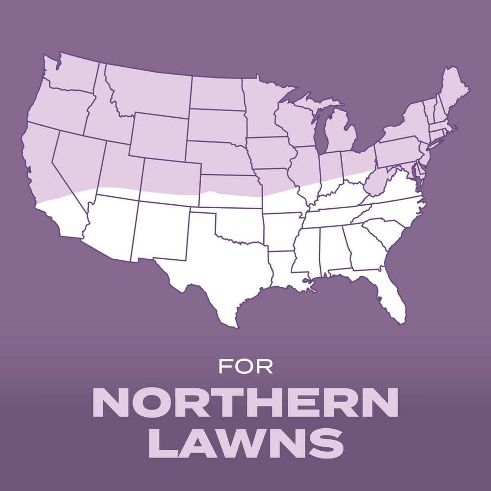 Turf Builder 5.6 lbs. Grass Seed Perennial Ryegrass Mix with Fertilizer and Soil Improver Establishes Quickly - Hercitys