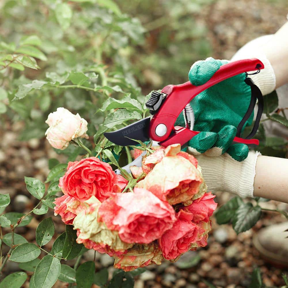 Professional Stainless Steel Heavy-Duty Red Garden Bypass Pruning Shears - Hercitys