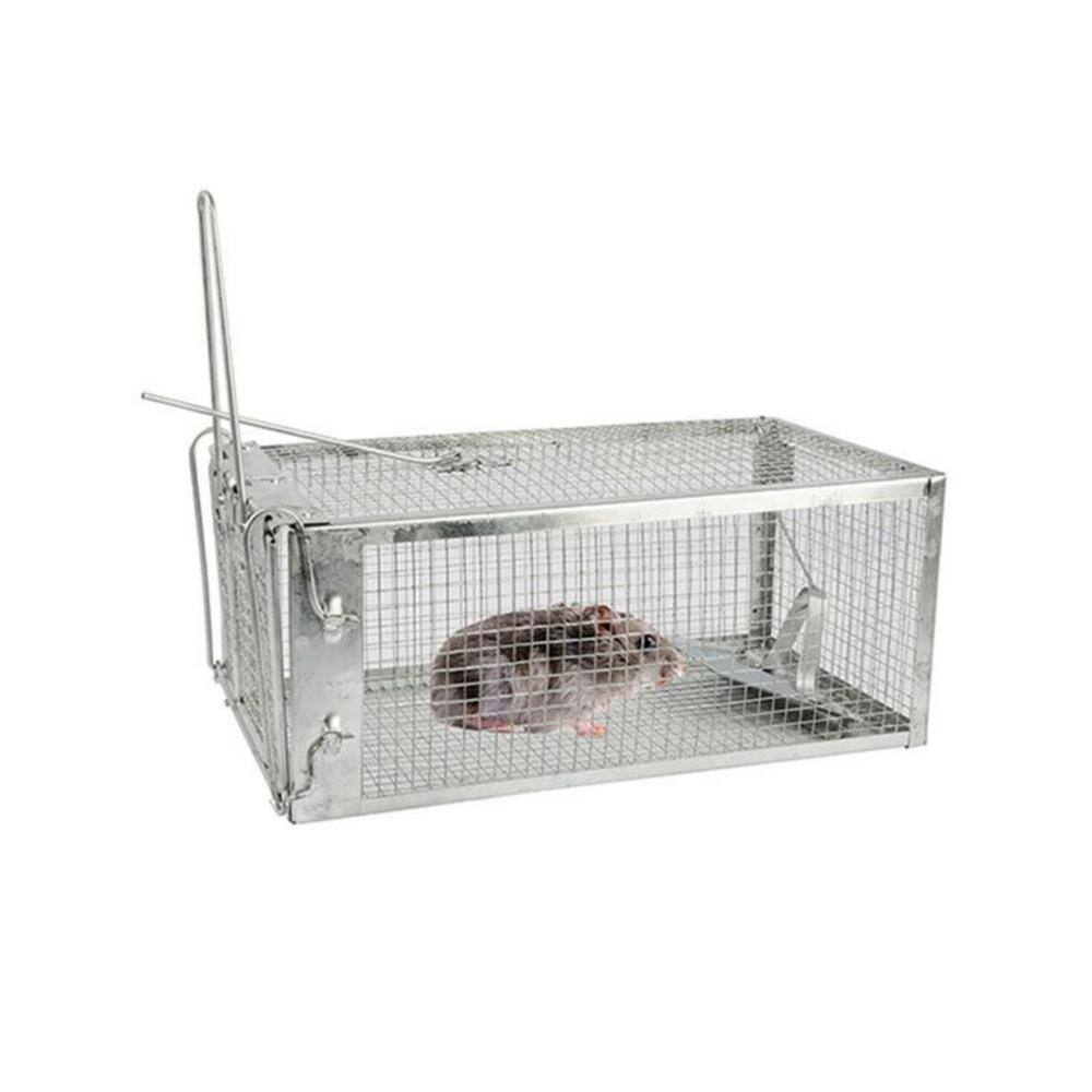 With detachable series. Outdoors. U-shaped rod. A mousetrap. A rat trap. It is 11.42 inches long. Pack of 1 - Hercitys