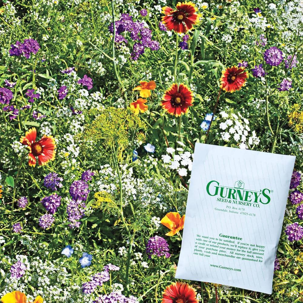 Beneficial Bug Wildflower Seed Mixture (0.25 lb. Seed Packet) - Hercitys