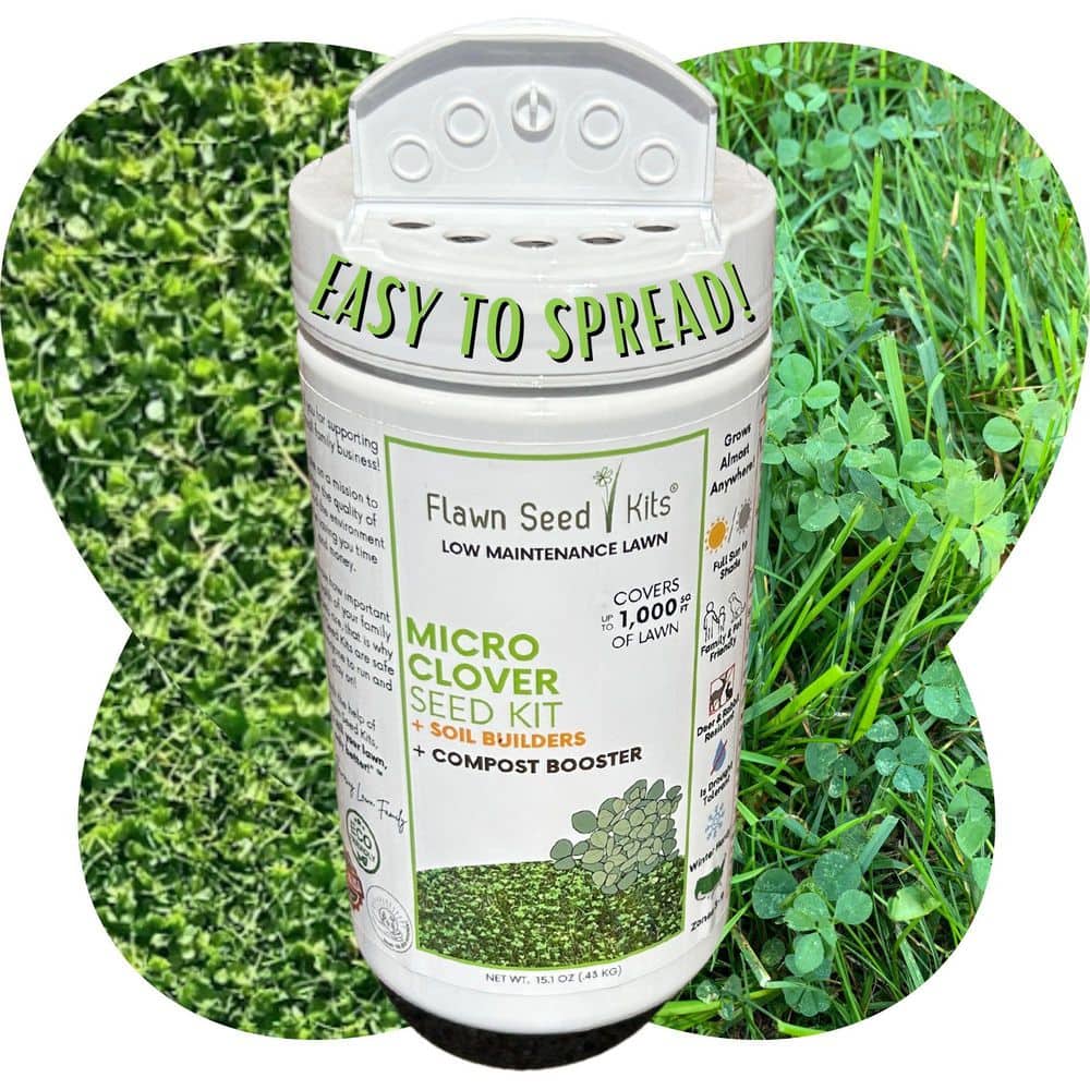 Micro Clover Alternative Grass Seed,Easy Spread,Eco-Friendly,Regenerative,Kid & Pet Friendly, Covers Up to 1,000 sq. ft. - Hercitys