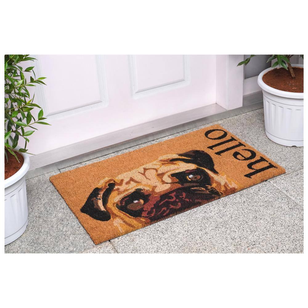 Fawn Pug Multi-Colored 17 in. x 29 in. Indoor or Outdoor Doormat - Hercitys