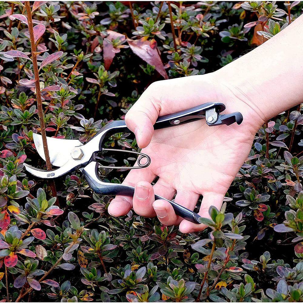 8 in. Heavy-Duty Garden Hand Pruners - Hercitys
