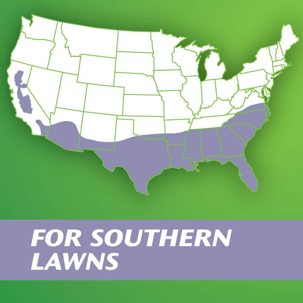 Turf Builder 5 lbs. Grass Seed Zoysia Grass Seed & Mulch Grows a Tough, Low-Maintenance Lawn - Hercitys