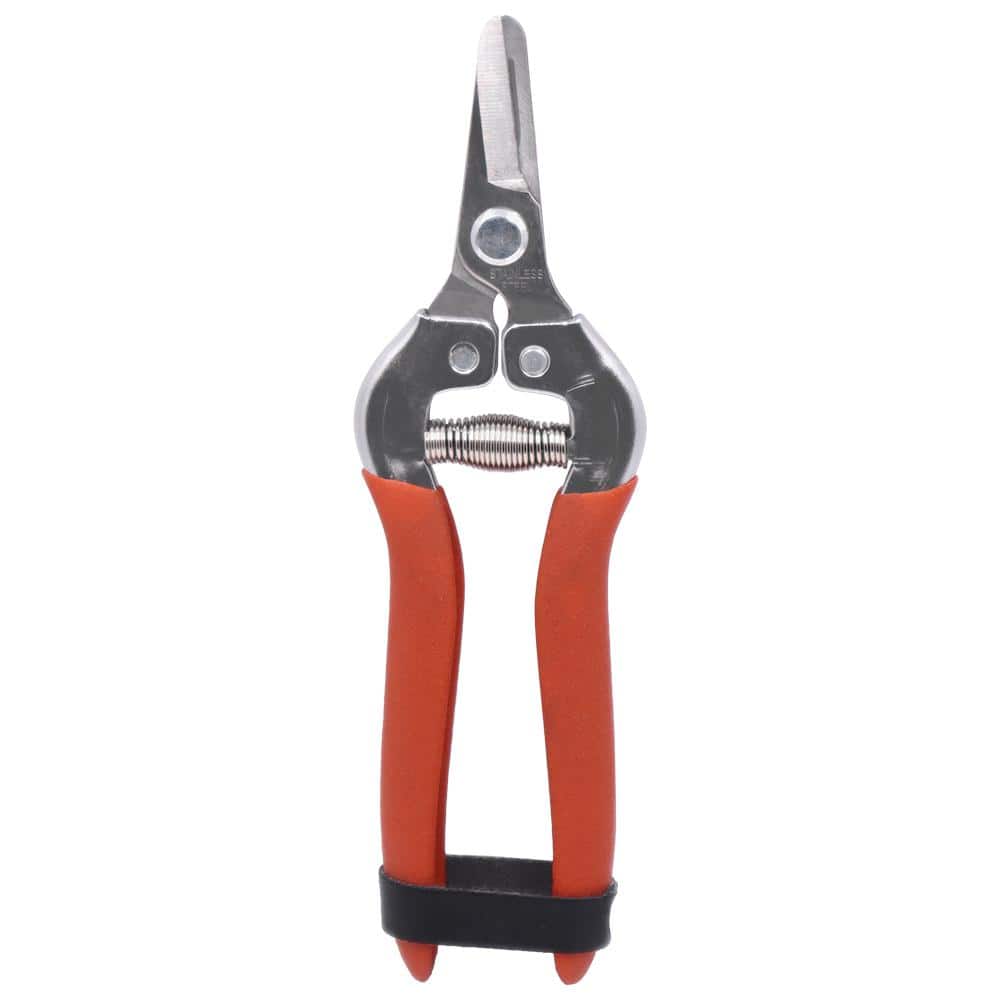 Harvest Shear, Short Straight Stainless Steel Blade (Box of 3) - Hercitys