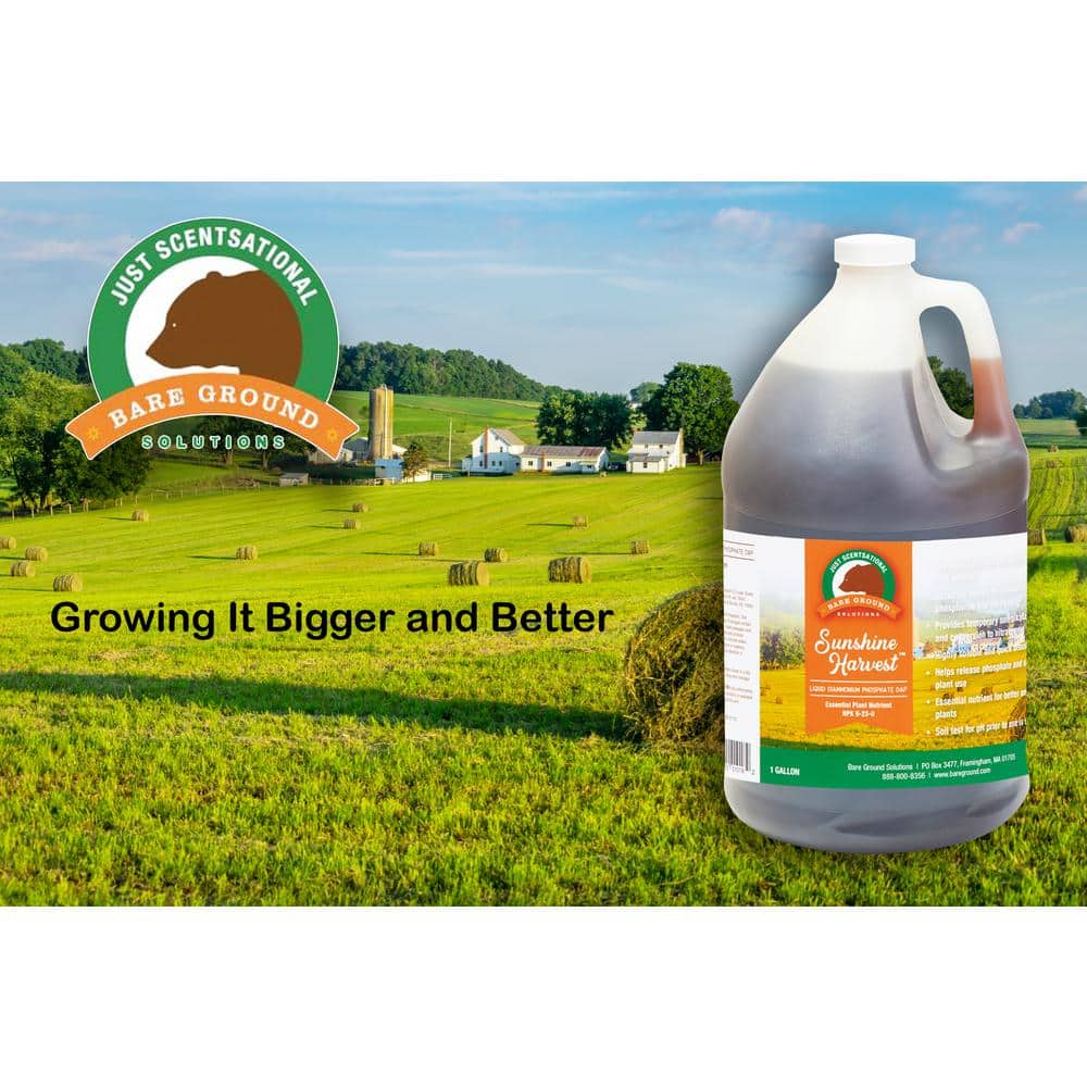 Liquid DAP Fertilizer - Hercitys
