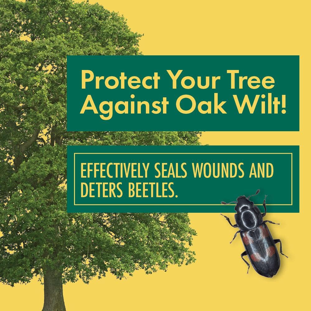 Tree Wound Dressing 8 oz. Aerosol – Pruning Spray for Prevention of Oak Wilt and Other Diseases - Hercitys