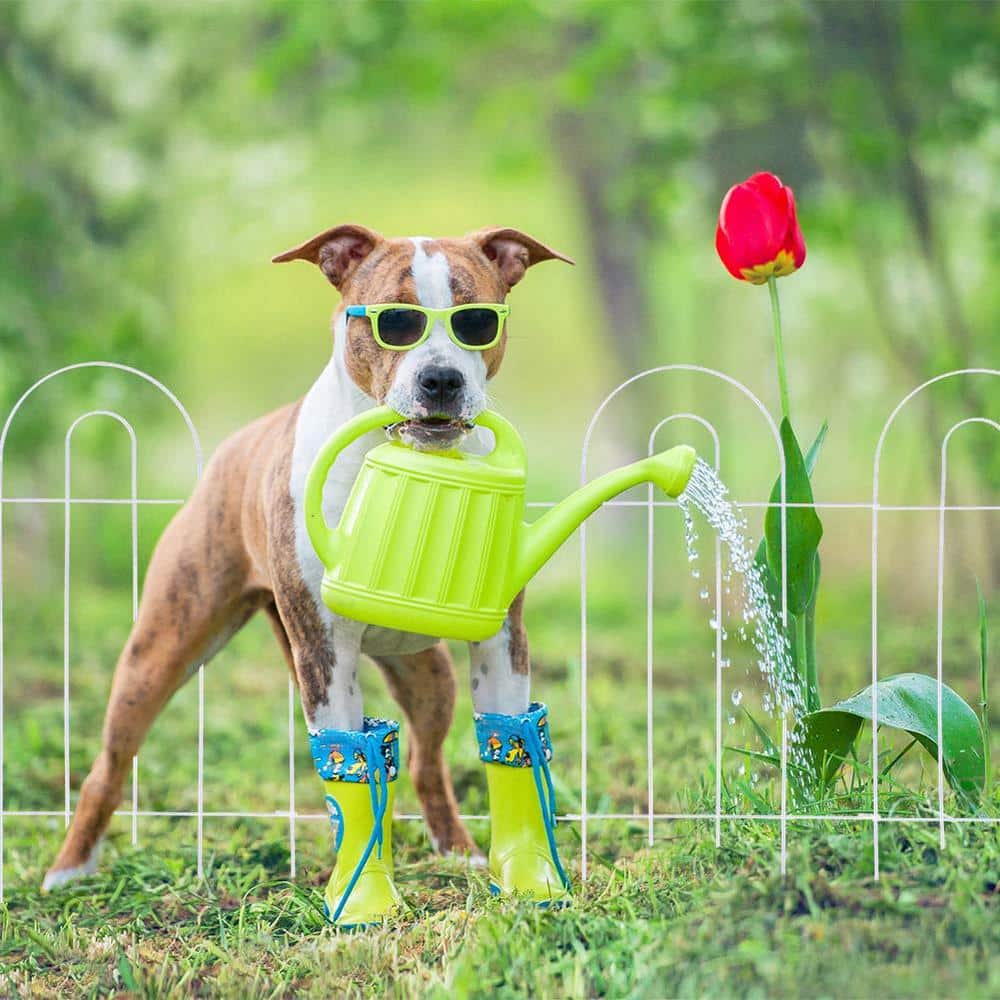 Glamos Wire 32 in. Green Metal Folding Garden Fence (10-Pack) - Hercitys