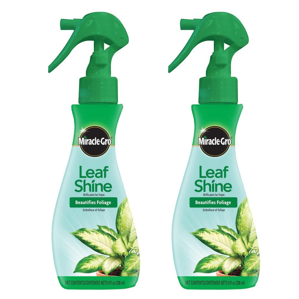 8 fl. oz. Leaf Shine Spray Cleans Hard-Leaved Foliage Plants (2-Pack) - Hercitys