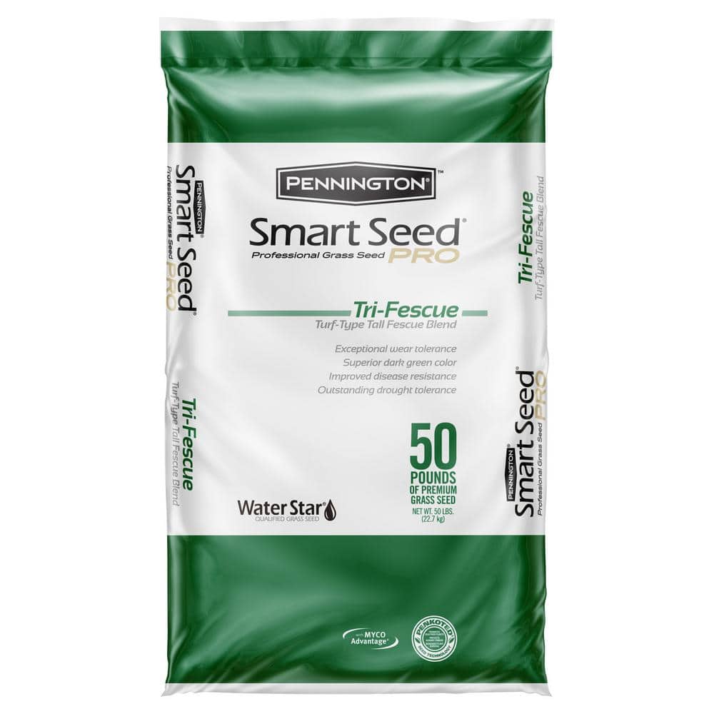 Smart Seed Professional Tri-Fescue Tall Fescue 50 lbs. 5,000 sq. ft. Grass Seed - Hercitys