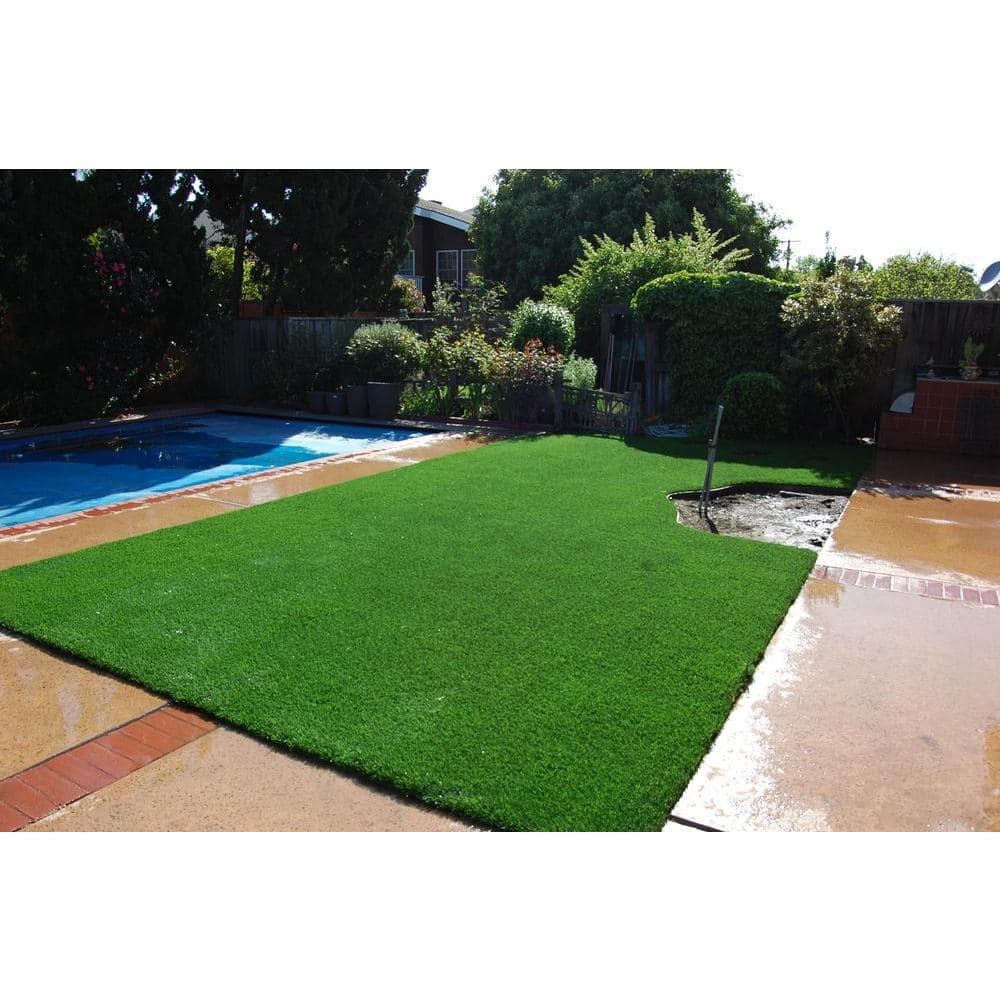 Classic Premium 65 Spring 7.5 ft. W x Cut to Length Green Artificial Grass Turf - Hercitys