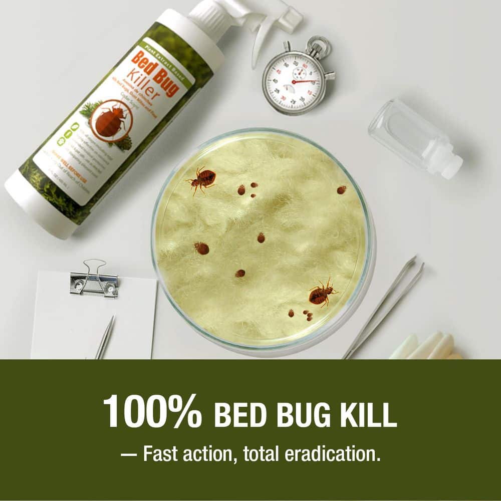 Bed Bug Killer by EcoRaider 16oz.-100% Efficacy Kills All Stages/Eggs for 2 Weeks, Plant-Based, Child/Pet-Safe - Hercitys